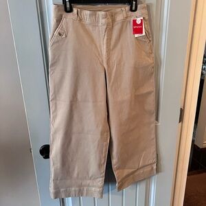 New Spanx Petite Pants